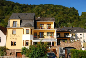  Weingut Pension Gibbert-Pohl  Бридель